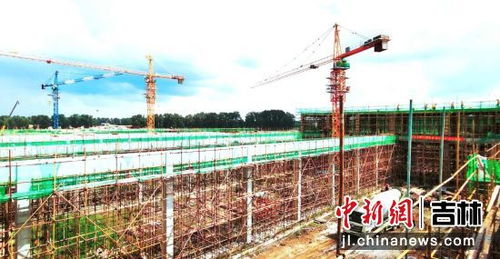 總投資3.1億元，德翔食品年加工一億只肉雞屠宰廠項目順利推進的戰略規劃與投資價值分析